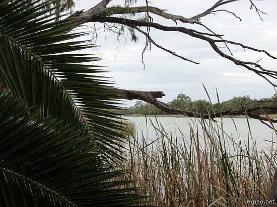 Mildura on Murray River, Australia :: 2008