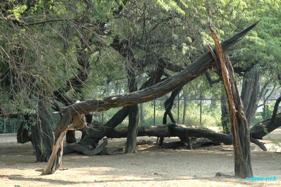 National Zoo, New Delhi :: Ocotber 2008