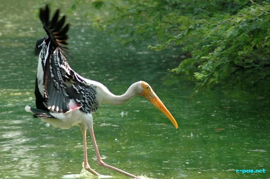 National Zoo, New Delhi :: Ocotber 2008