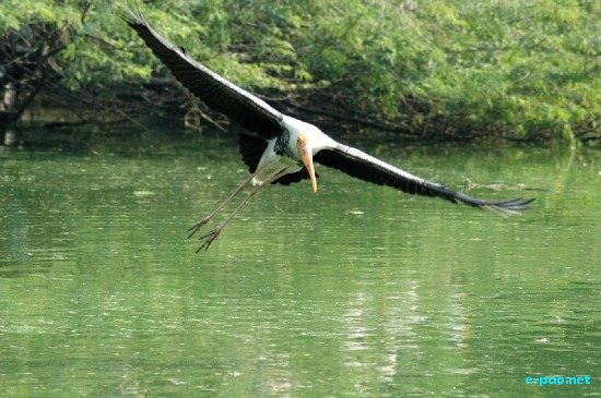 National Zoo, New Delhi :: Ocotber 2008