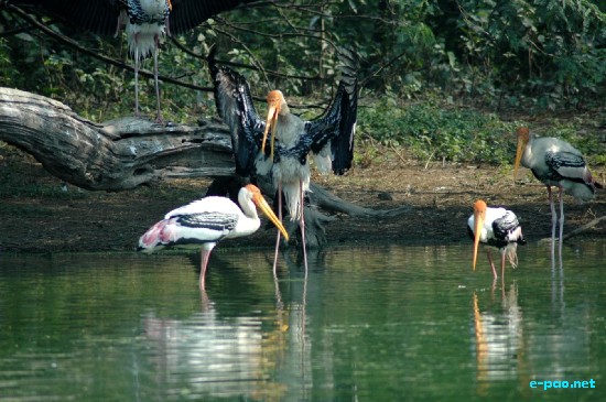 National Zoo, New Delhi :: Ocotber 2008