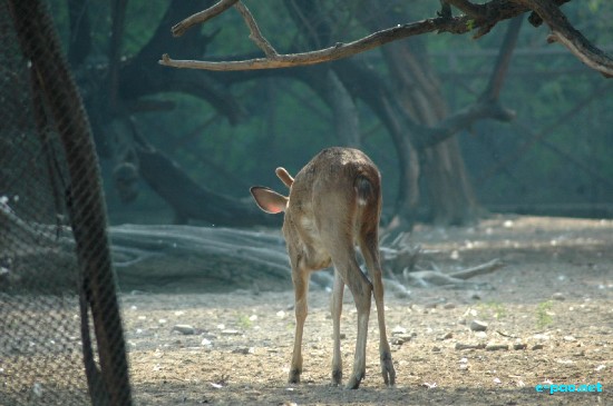 National Zoo, New Delhi :: Ocotber 2008
