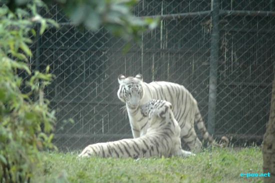 National Zoo, New Delhi :: Ocotber 2008