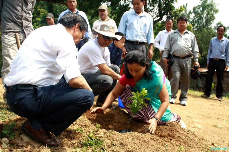 World Environment Day Celebration by LDA and MMTA at Lamdan , Manipur  :: 5 June 2012