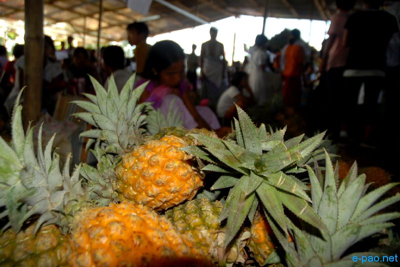 3 days Pineapple Festival at Andro :: July 13 2010