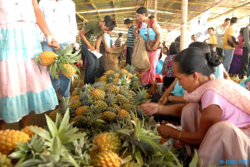 3 days Pineapple Festival at Andro :: July 13 2010