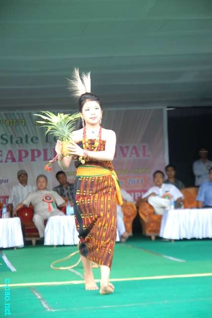 4th State Level Pineapple Festival, 2011 at Khuman Lampak complex  :: September 03 2011