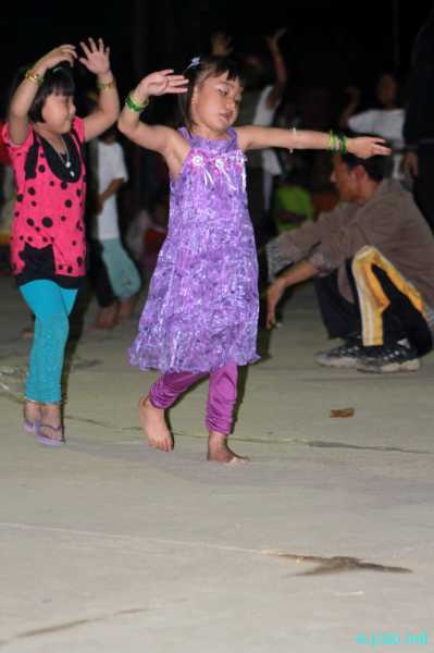 Yaoshang Festivities 2012 in Imphal :: 9-12th March 2012