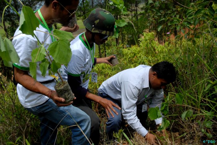 Tree Plantation - 2nd edition of Mother Earth Memorial Month :: May 17 2010