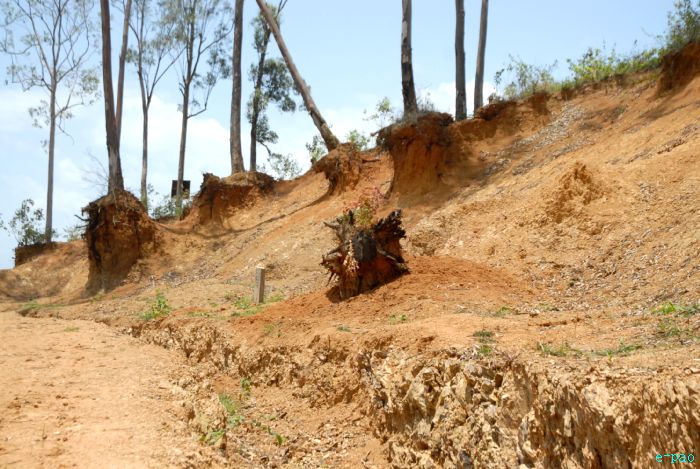  Deforestation in Manipur (In May 2010) 
