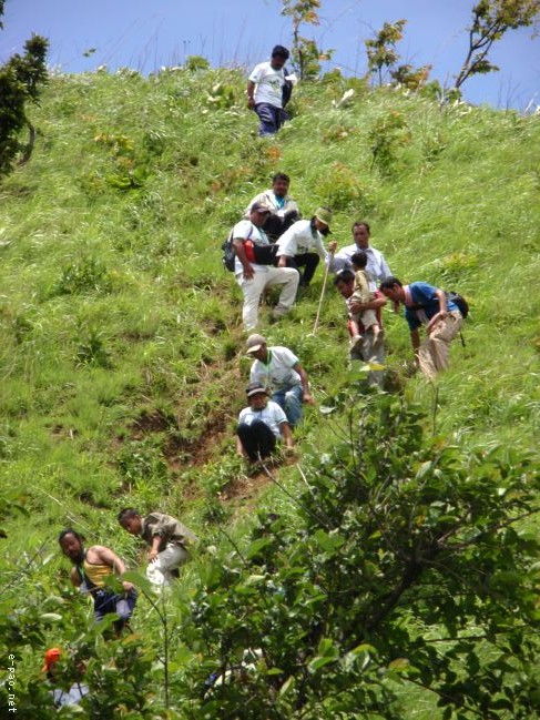 Tree Plantation - 2nd edition of Mother Earth Memorial Month :: May 22 2010