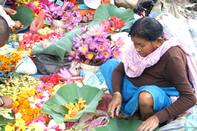 Leihao - a local flower adorned by ladies - at Khwairamband Keithel :: 3 June 2012