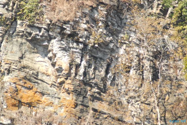 Leimaton Hill Photography Expedition by Manipur Amateur Photo Club (MAPC) :: 20 February 2012