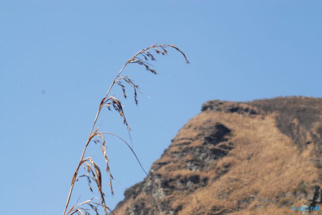 Leimaton Hill Photography Expedition by Manipur Amateur Photo Club (MAPC) :: 20 February 2012