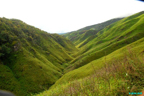 The pristine Dzuko Valley ; photo taken sometime in the third week of July 2009