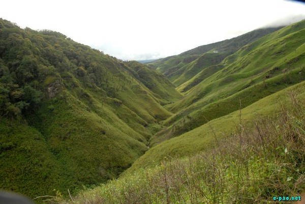 Dzuko Valley :: July 2009