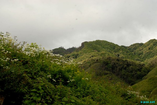 Dzuko Valley :: July 2009