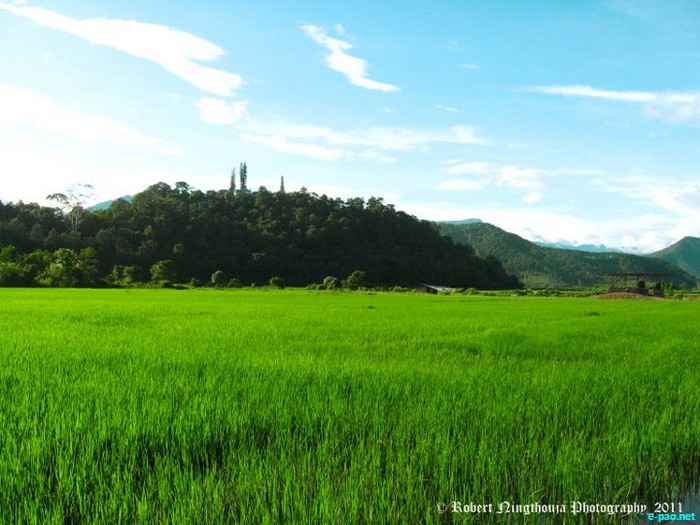 Landscape Picture of Imphal Valley by Robert Lourembam Ningthouja  :: 2011