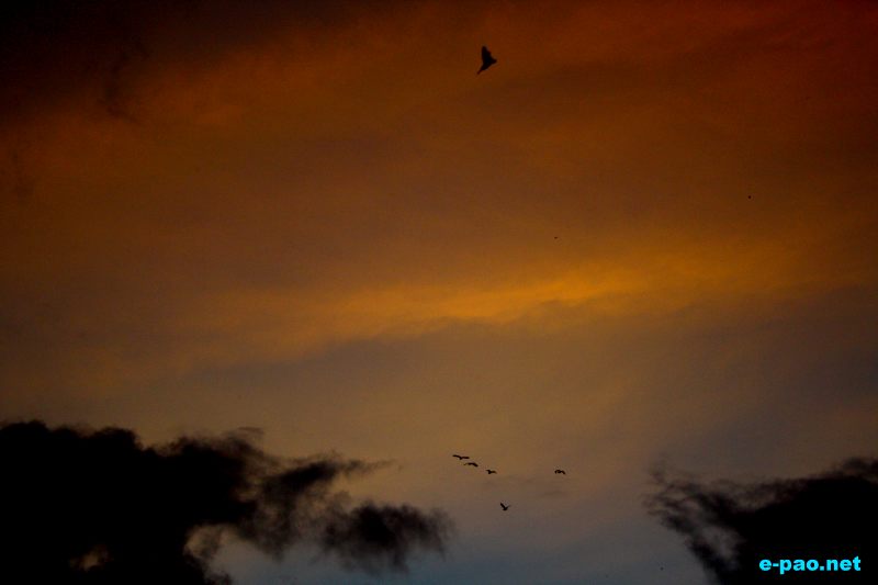 A shot of evening sky in Imphal area through the lenses of Bunti Phurailatpam :: July 2012