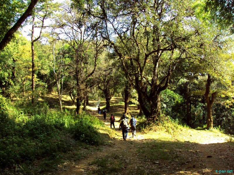 IT Road, Tamei, Magulong Kisha hill and Gaidelu Cave Exploration  during Sangai Tourism Festival 2012 :: November 2012