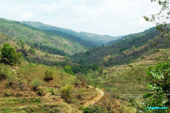 Road to Siroy, Ukhrul :: April 2009