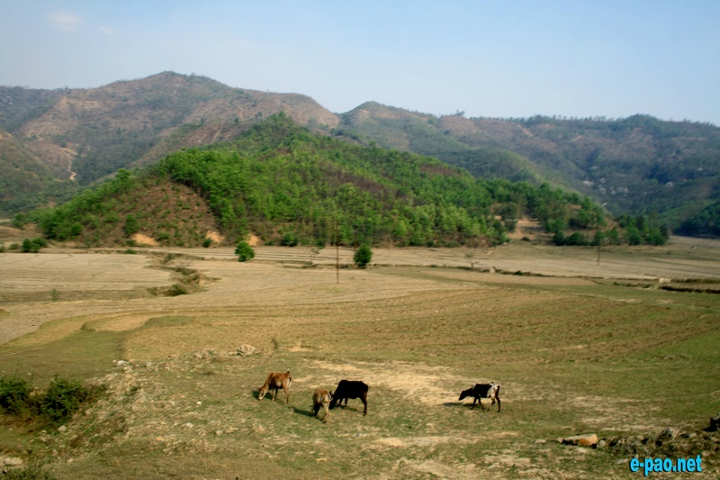 Landscape of Senapati as seen from National Highway Road :: April 2012