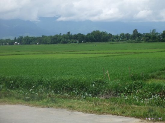 Phayeng's Road :: Summer 2008