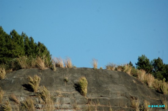 Singda Dam  :: January 2009