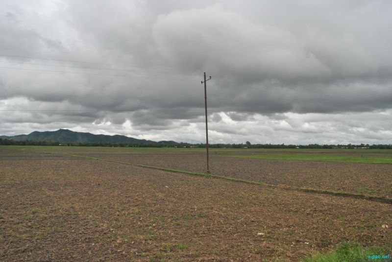 Drought looming : The condition of Paddy field in Thoubal district :: last week of July 2012 