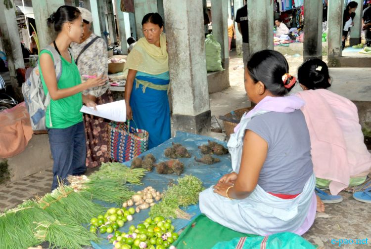 Blue and Green for Organic Manipur at Khurai Lamlong :: 10th Sept 2010