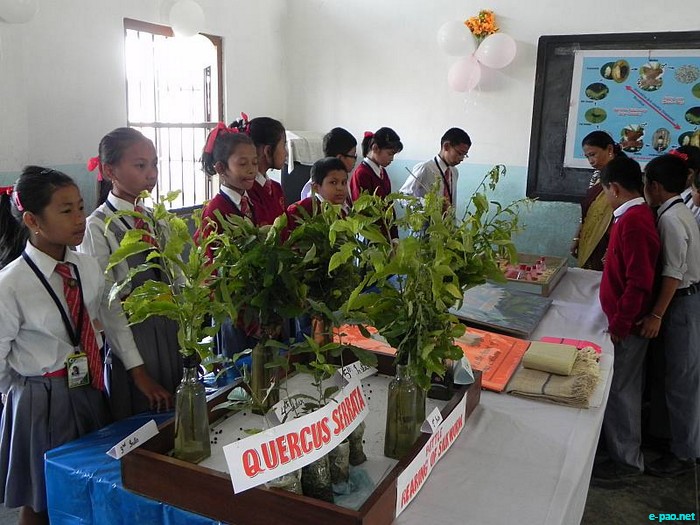 Science Exhibition  at Christ Jyoti School, Mantripukhri :: December, 2010