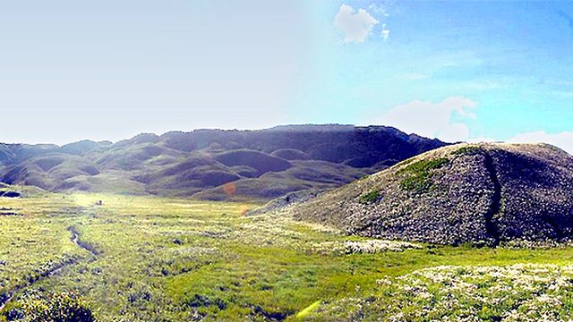 Middle of Dzuko Valley :: July 2009