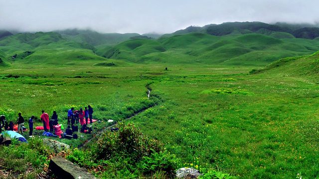 Beautiful Landscape of Dzuko valley, Senapati District :: June 2016 :: # 1