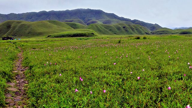 Beautiful Landscape of Dzuko valley, Senapati District :: June 2016 :: # 2