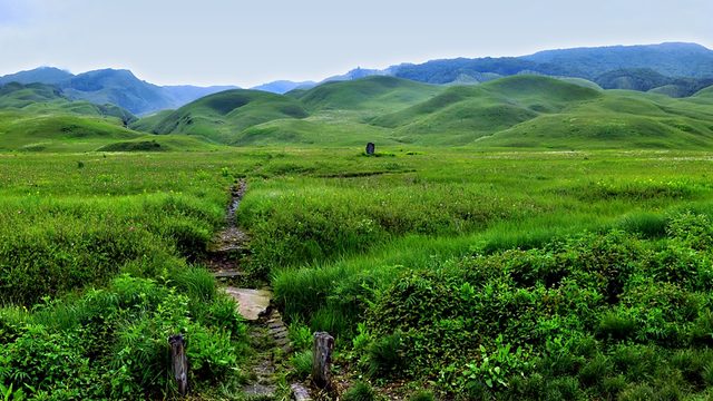 Beautiful Landscape of Dzuko valley, Senapati District :: June 2016 :: # 3