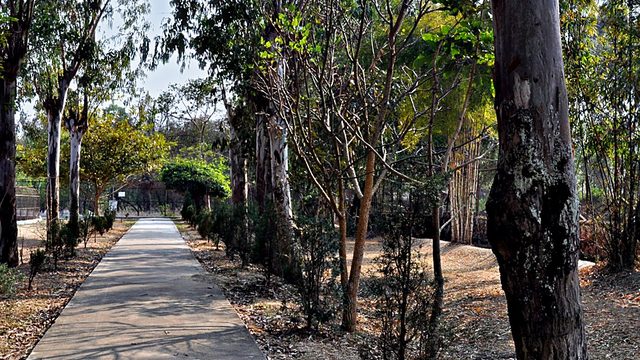 Iroisemba Zoological park, Imphal : Part 2 :: February 2015