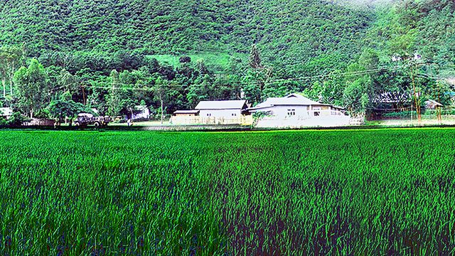 Greenery Scene of Langol