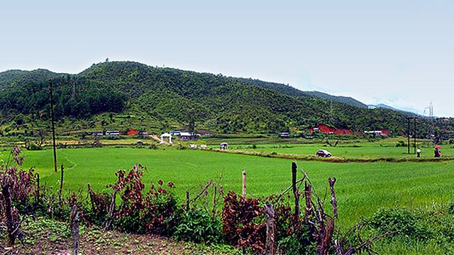 Mayangkhang paddy field at Senapati :: December 2009