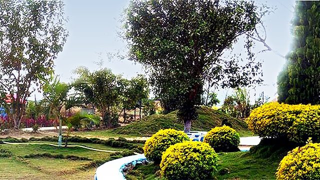 Millenium Garden at Haorang Sabal, Lamsang :: 2009