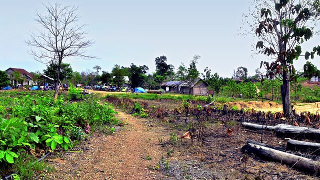 Namlee Village Kasom Khullen Sub Division Ukhrul District :: April 2016