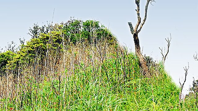 Near the peak of Siroy Hill, Ukhrul - 2 :: 2009