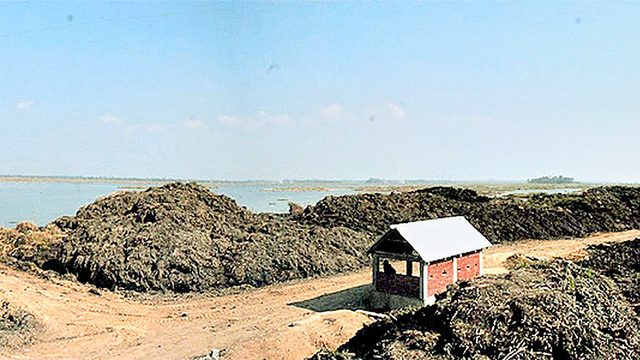 A view from Thanga-Karang Loktak Lake :: 2011