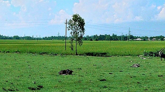 Outskirt of Imphal City at Taobungkhok :: October 2009